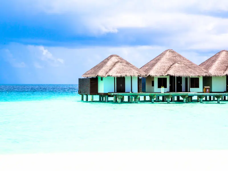 Amazing Travel Experience